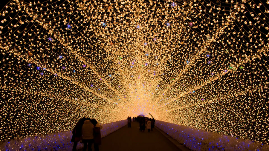 Nabana no Sato Illumination