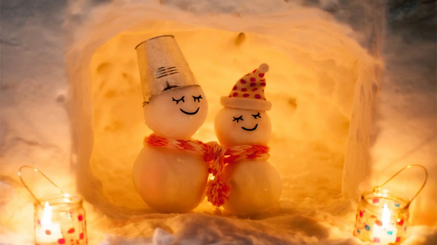 Otaru Snow Light Path