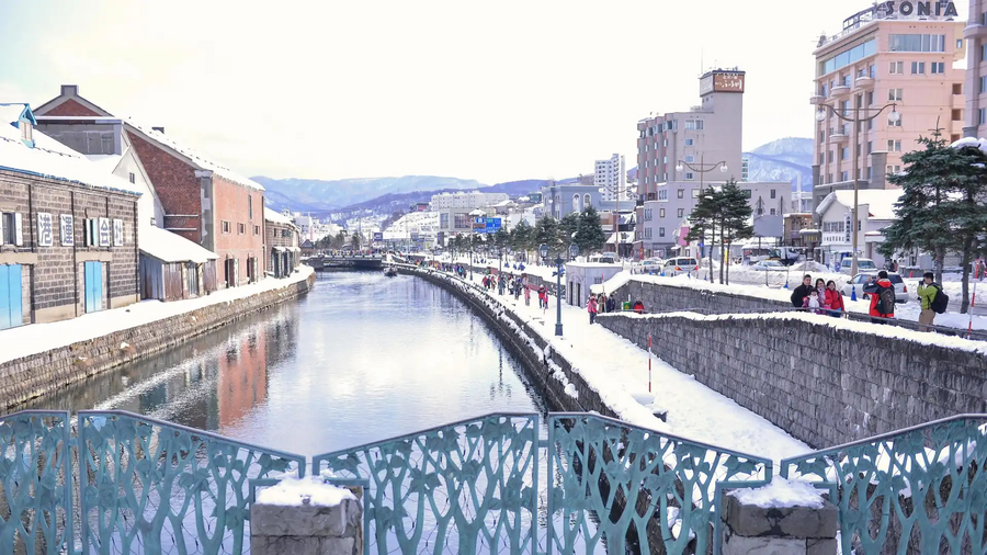 Otaru Snow Light Path