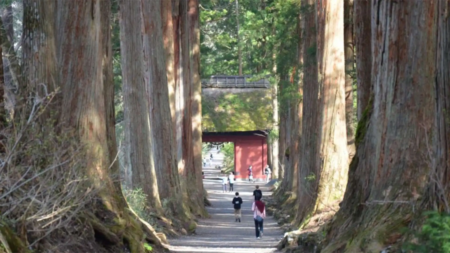 戸隠神社 中社