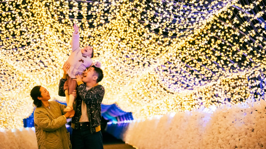 Tokyo Mega Illumination
