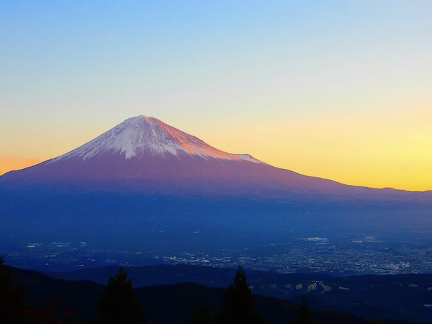 スクリーンショット 2019-11-11 16.19.02.png