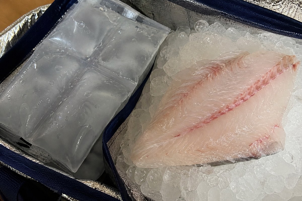우럭 회 제철과 우럭매운탕이 맛있는 때를 나눕니다