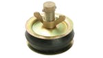 Bailey Drain Test Plug, Brass Cap