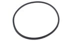 Image of BIASI BI1293108 COMBUSTION CHAMBER LIP GASKET