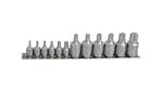 BlueSpot Tools TORX Socket Set of 12 1/4 & 3/8in Square Drive