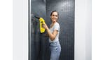 Karcher WV 2 Plus Window Vac