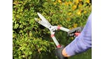 Kent & Stowe General Purpose Hedge Shears