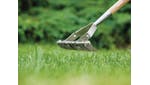 Kent & Stowe Stainless Steel Long Handled Scarifying Rake, FSC®