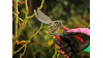 Kent & Stowe Traditional Bypass Secateurs