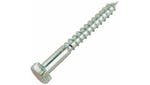 Olympic M6 X 40 mm Coach Screws