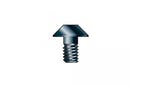 Image of Trend SP-46/02D Replacement TORX Screw