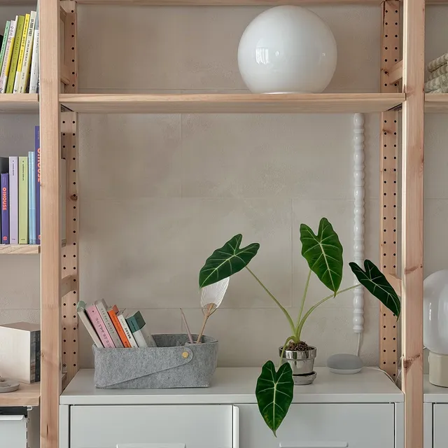 Dorant Frame Molding - 썸네일 3