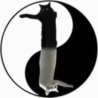 Long Ad