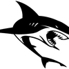 generalsharky avatar