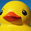 DuckDice avatar
