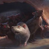 Ratlover avatar