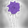 Amethyst_Rose avatar