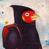 MrAufziehvogel avatar