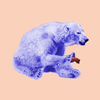 BearyCrunch avatar