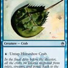 HorseshoeCrab avatar