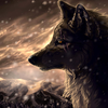 SolemnWolf avatar