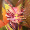 GatorThyMe avatar