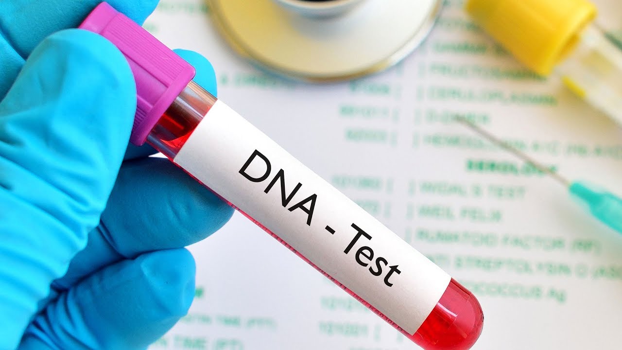 The Best DNA Testing Kits Available Now