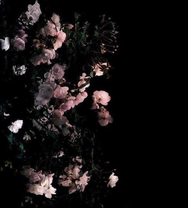 pop × r&b × sad piano type beat "things I lost"