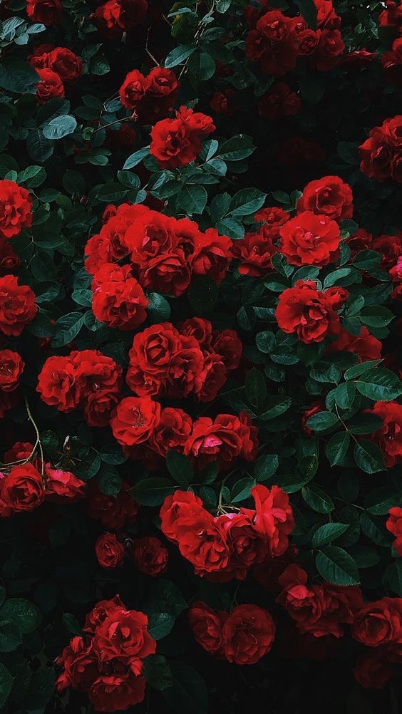 Tade Dust × tip jam Type Beat - "Save Your Love"