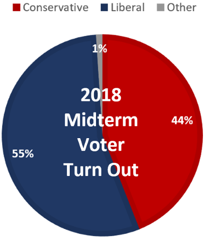 2018 Midterm Voter Turn Out