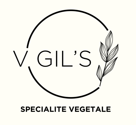VGILS_logo