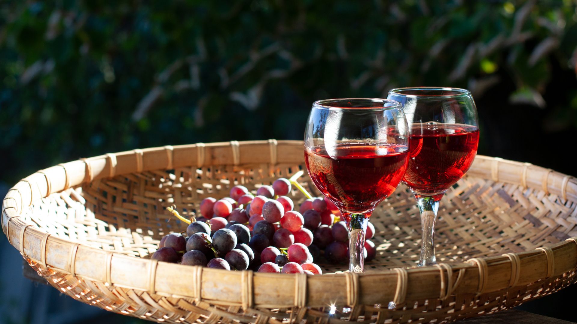 how to start a wine business
