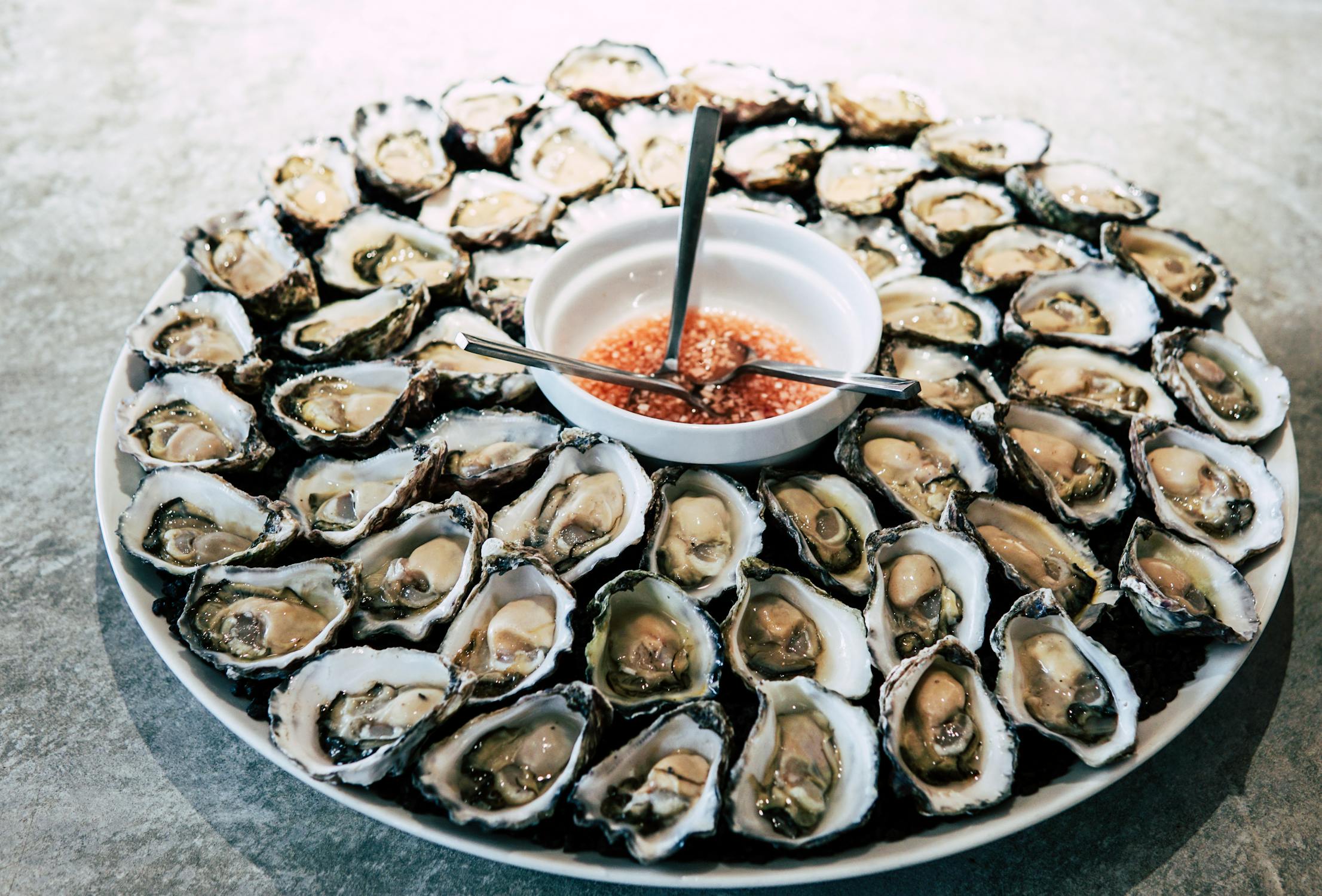 Wholesale Oyster Prices