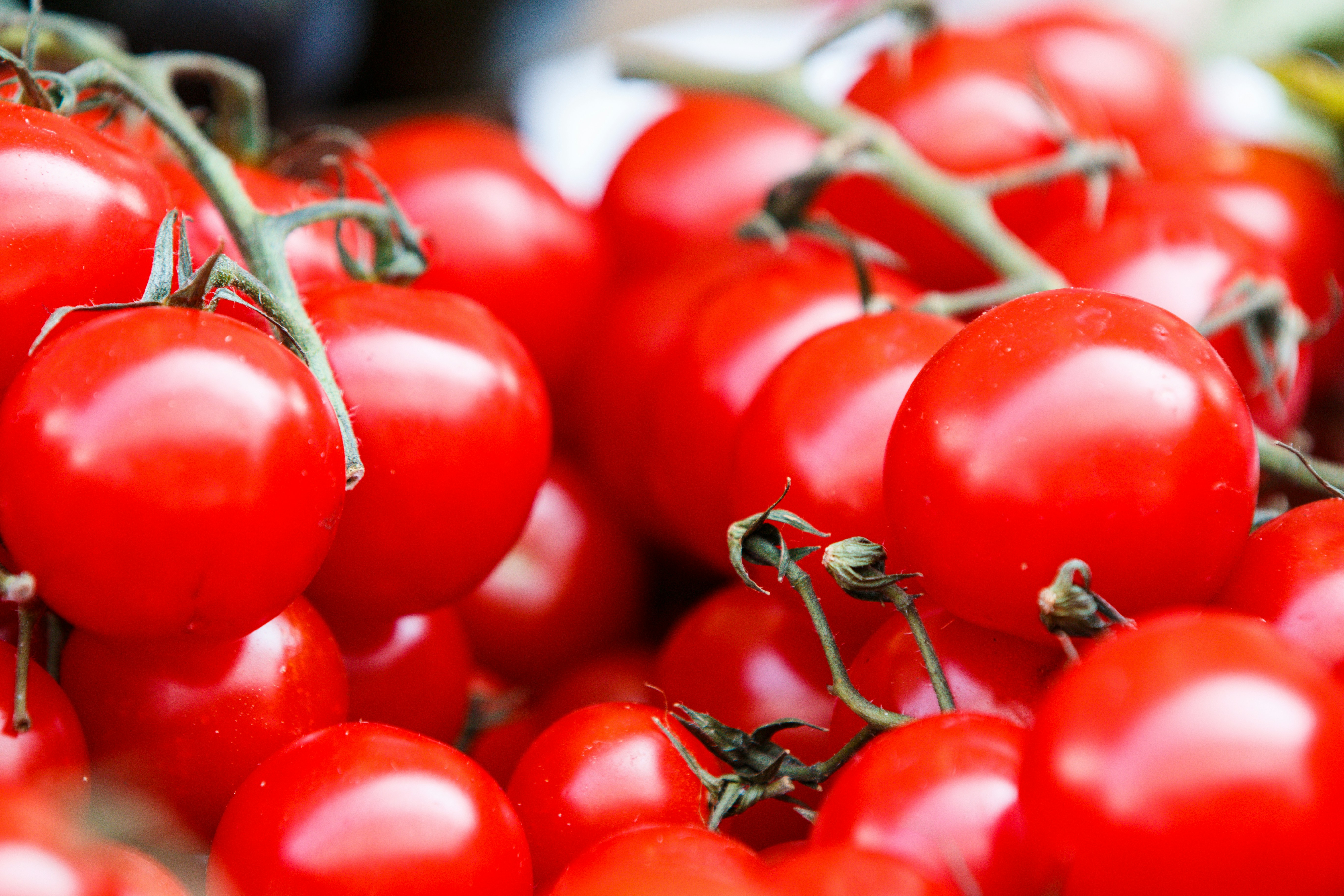 Red tomatoes