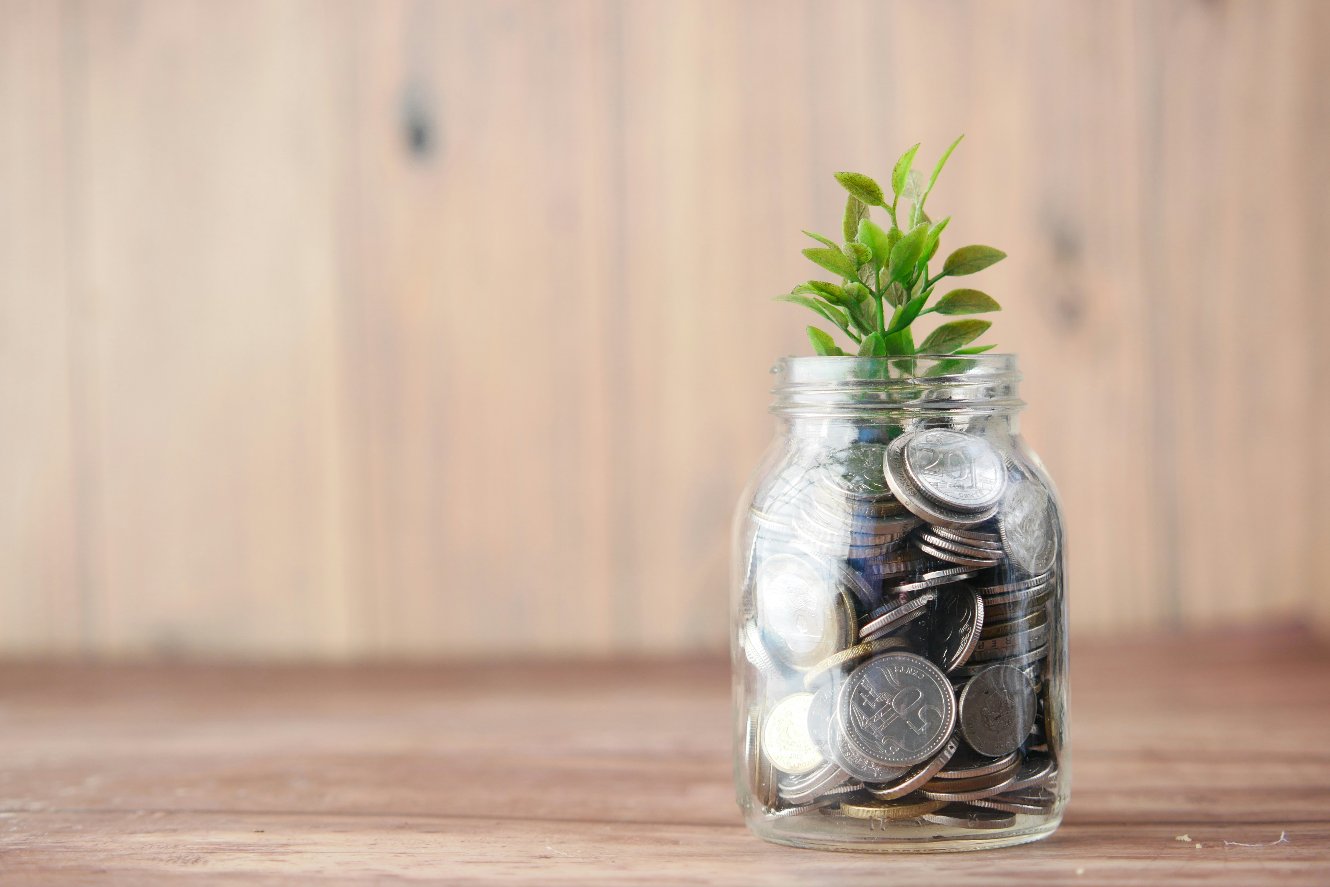 money jar with a plant
