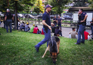 La polizia batte a tappeto il parco del Valentino: arrestati in cinque