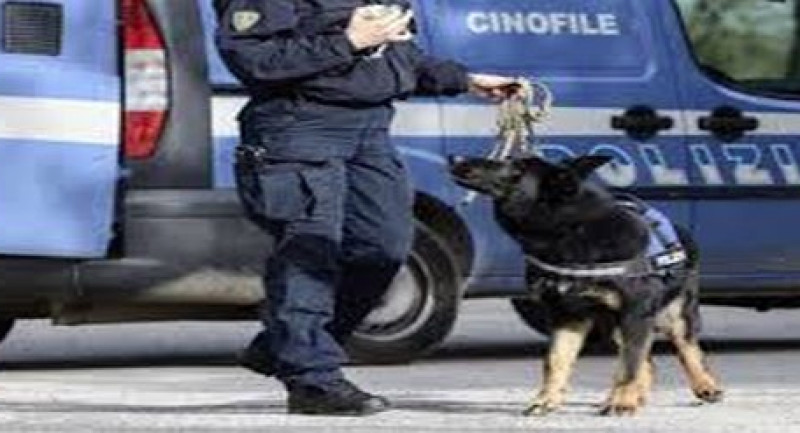 Torino: controlli della Polizia di Stato a Mirafiori