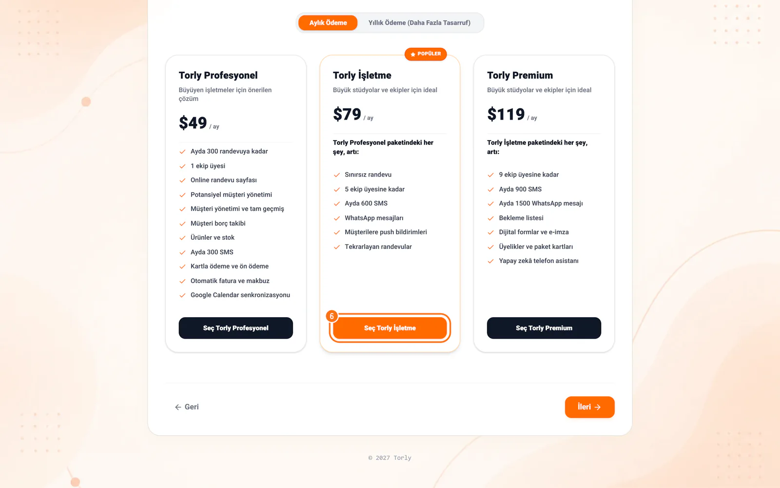 Paket seçimi adımı: paketin düğmesi