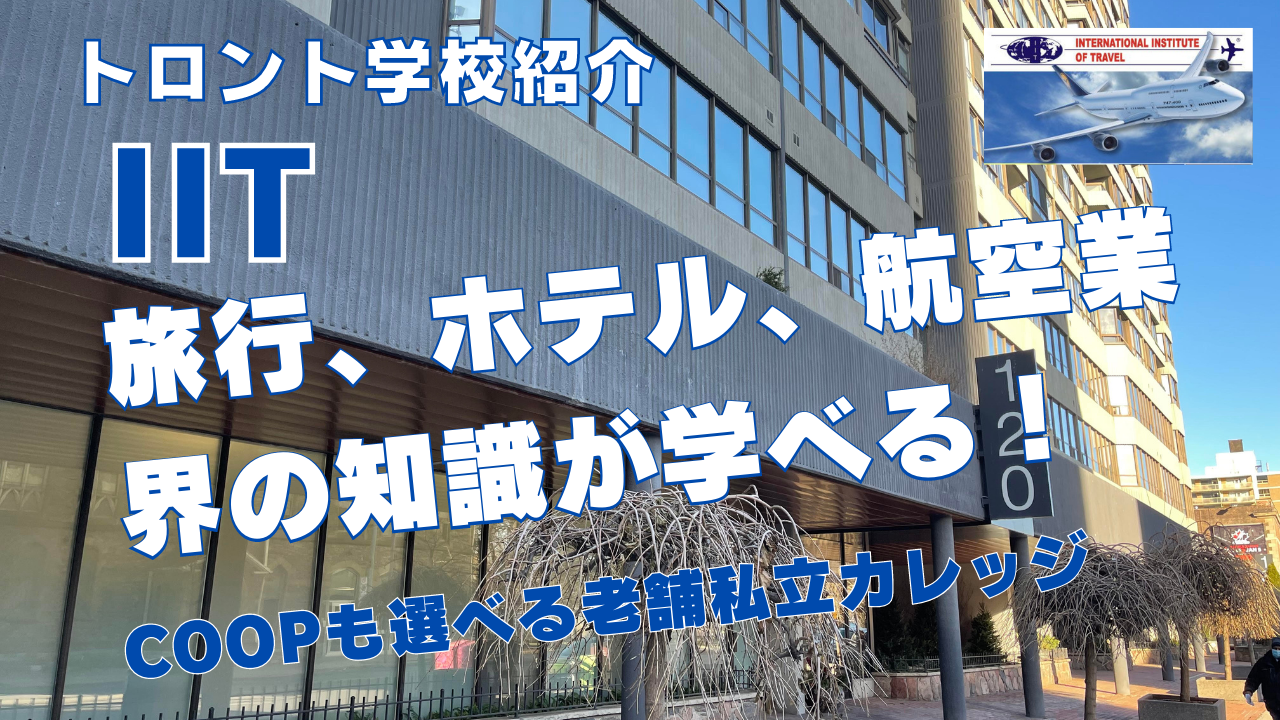 【トロント学校紹介】私立カレッジIITを紹介！旅行、ホテル、航空業界の知識が学べる！Co-opも選べる老舗私立カレッジ！ 