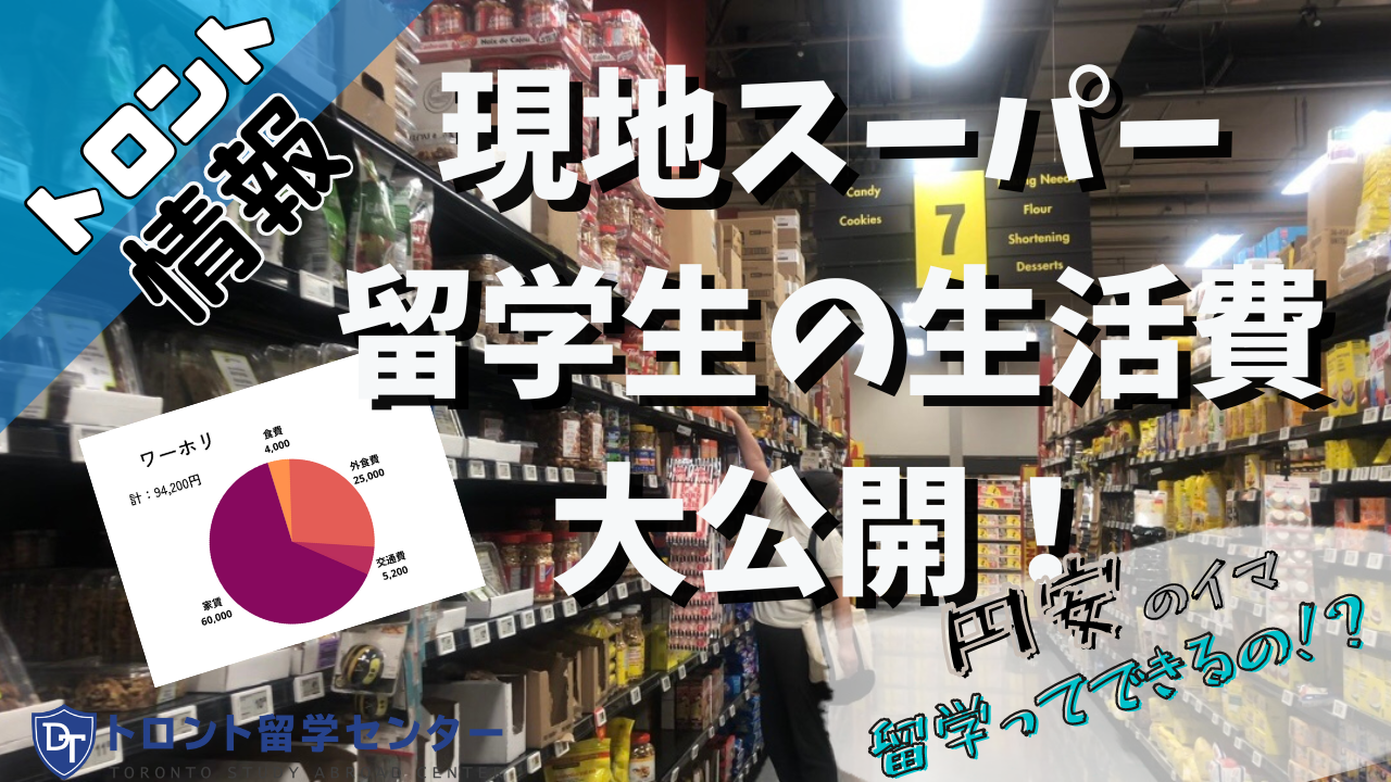 【トロント情報！】現地スーパーと留学生の生活費を公開！円安に負けずに留学生活楽しもう！