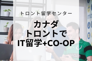 カナダ・トロントでIT留学+CO-OP