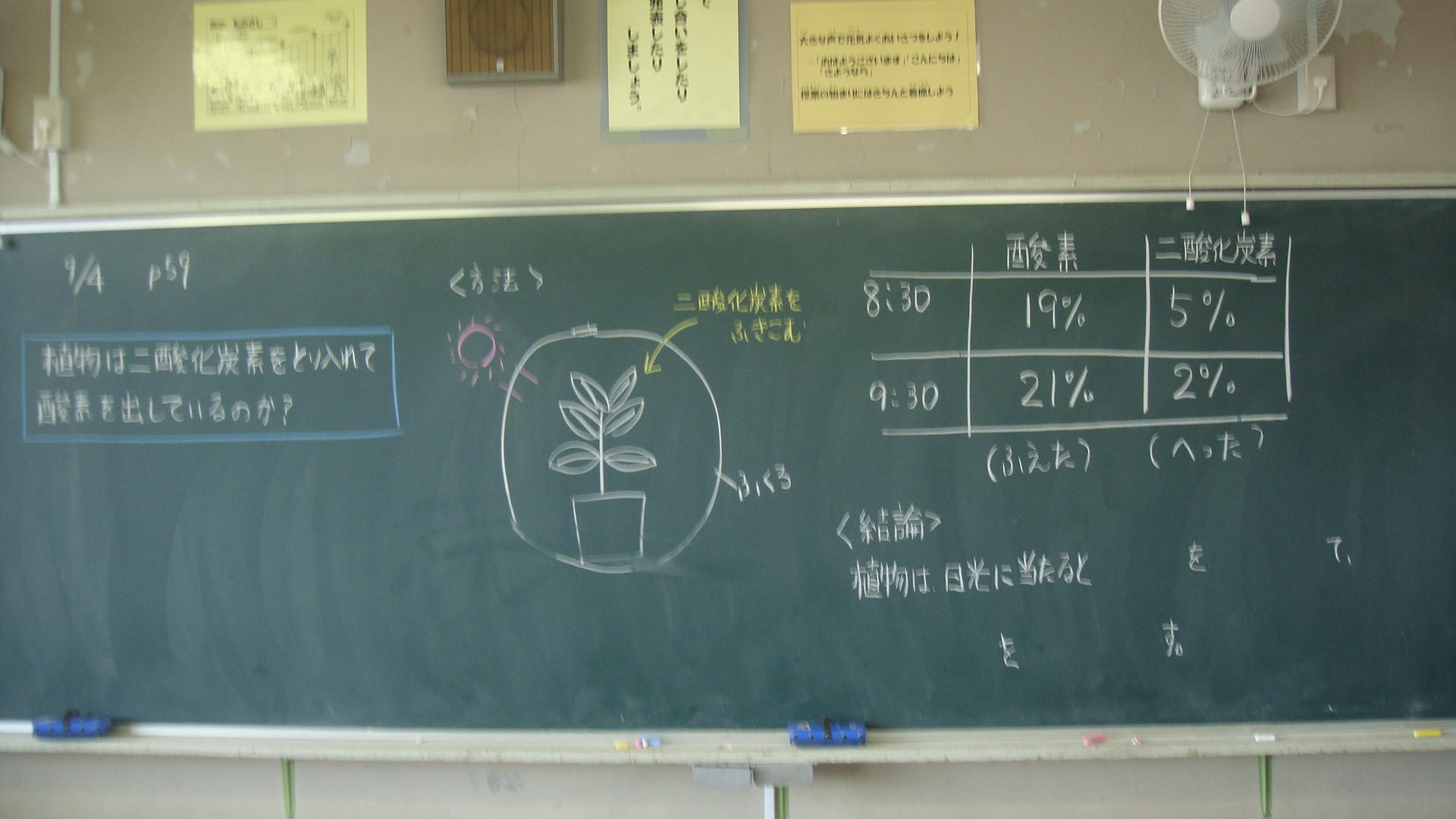 植物のからだの働き 板書事例と分析 | TOSSランド