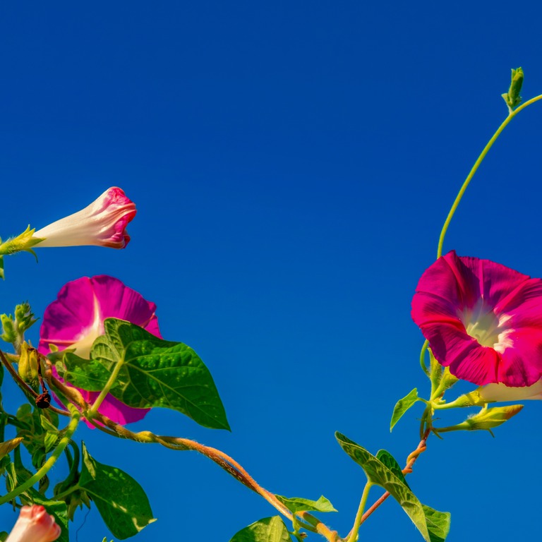 Tossランド 暑い季節を快適に過ごす 第３時