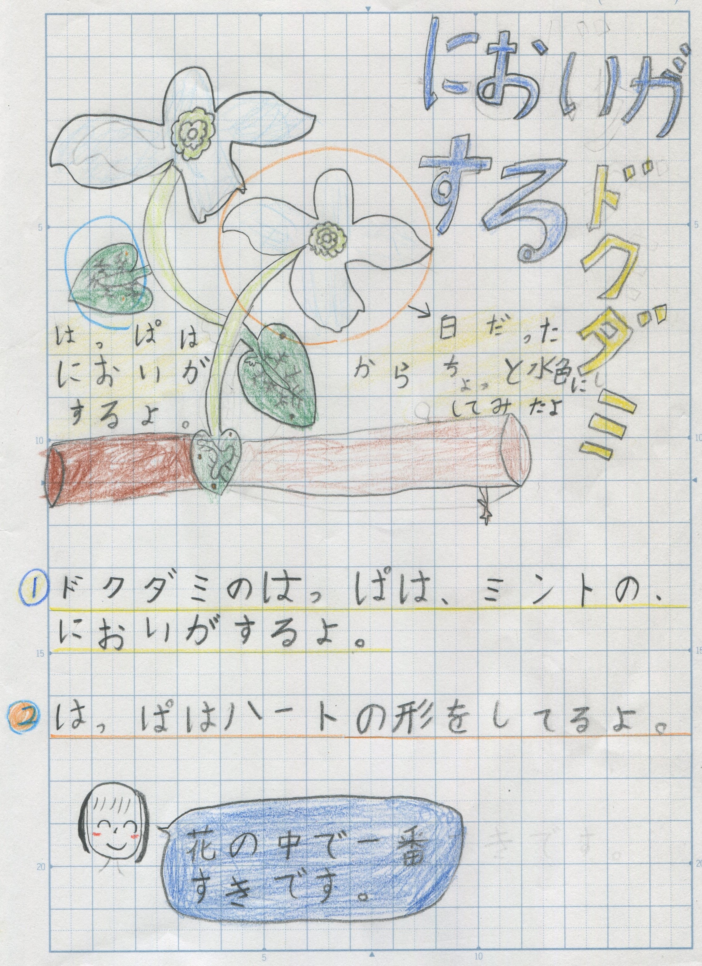 Tossランド 理科ノートまとめ 植物編