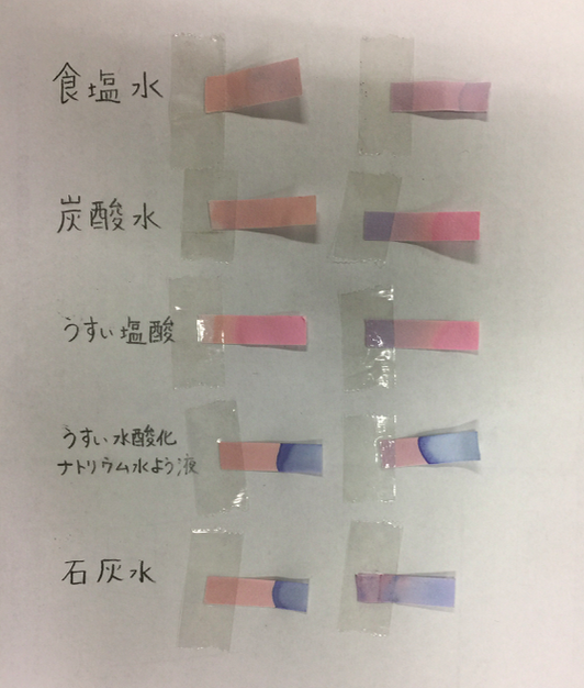 Tossランド 水溶液の仲間分けをしよう