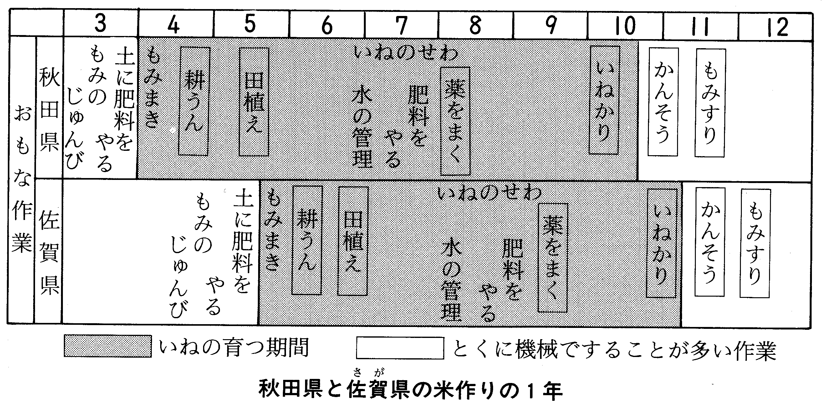 Tossランド 庄内平野の米作り