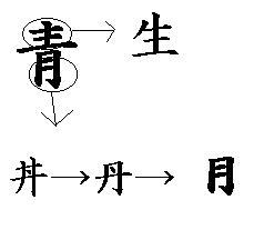 Tossランド 漢字文化の授業 生 と 青 の成り立ち