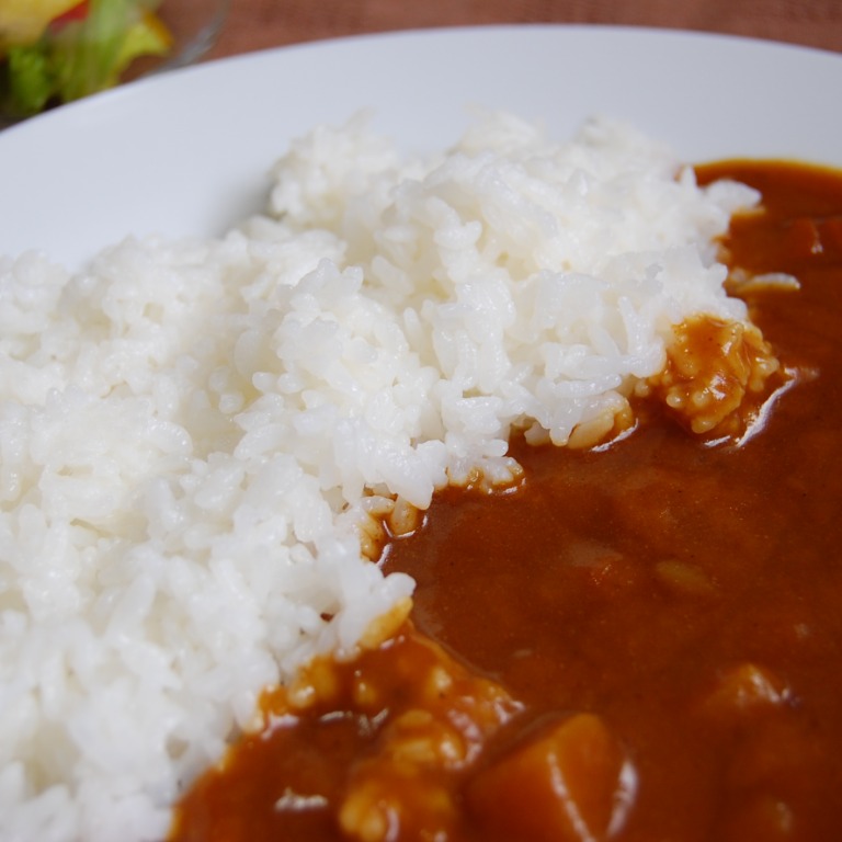 Tossランド カレーライスから 完全食について考える