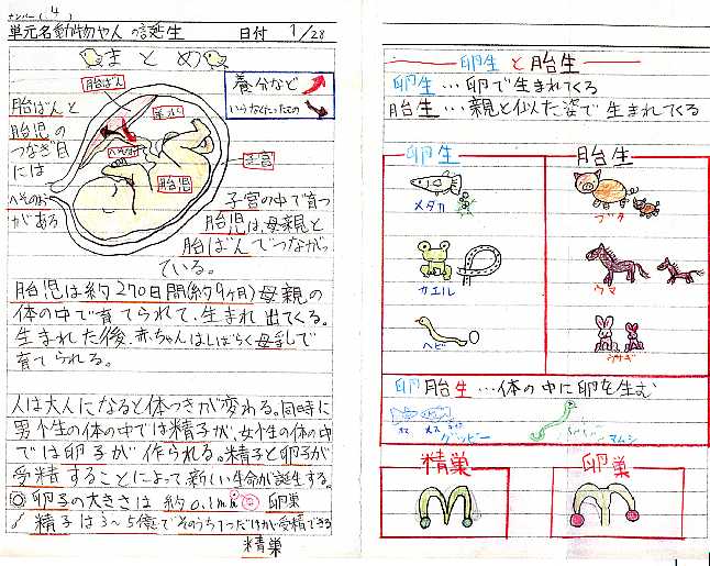 スキー サンダル 中央値 5 年 理科 人 の 誕生 調べ 学習 Br Net Jp